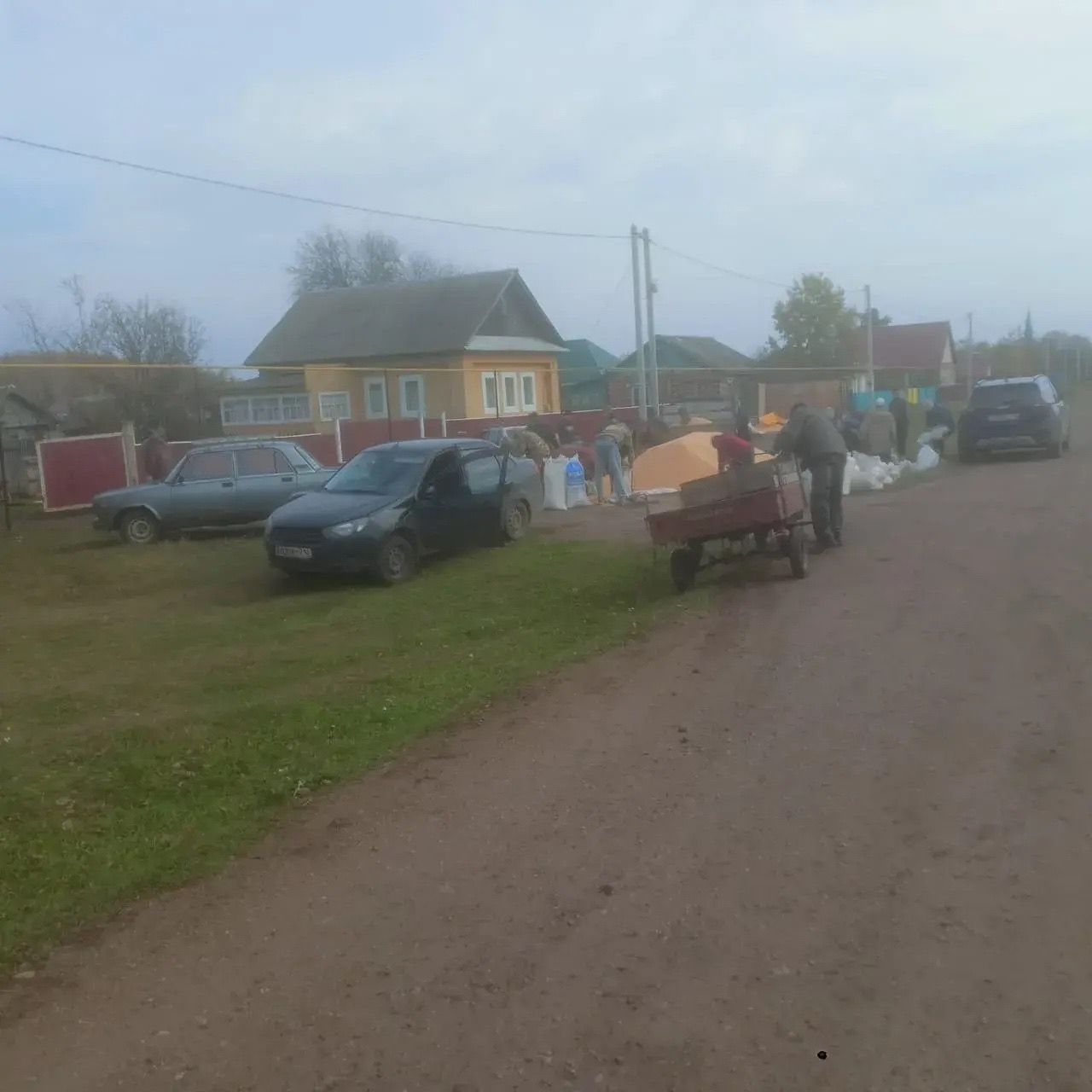 Авыл халкына кукуруз тараттылар