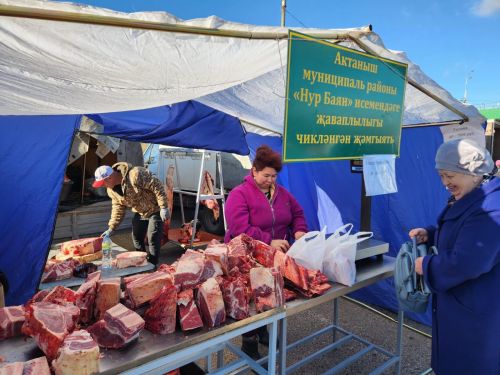 Безнекеләр ярминкәдә: Районыбызның авыл хуҗалыгы хезмәтчәннәре Чаллы халкын сөендерә