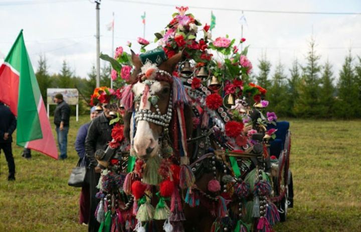 В Арском районе состоится конно-спортивный праздник «День коня».
