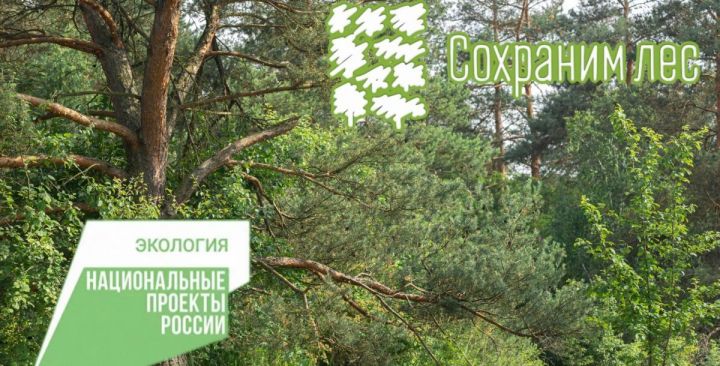 8 октября 2022 года в муниципальных районах РТ будет организована массовая посадка деревьев в рамках Всероссийской акции «Сохраним лес»