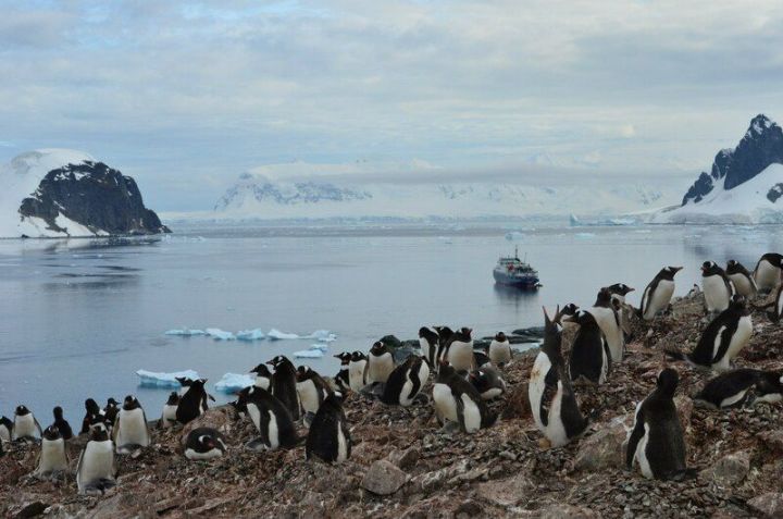 Антарктида бозлары эри икән