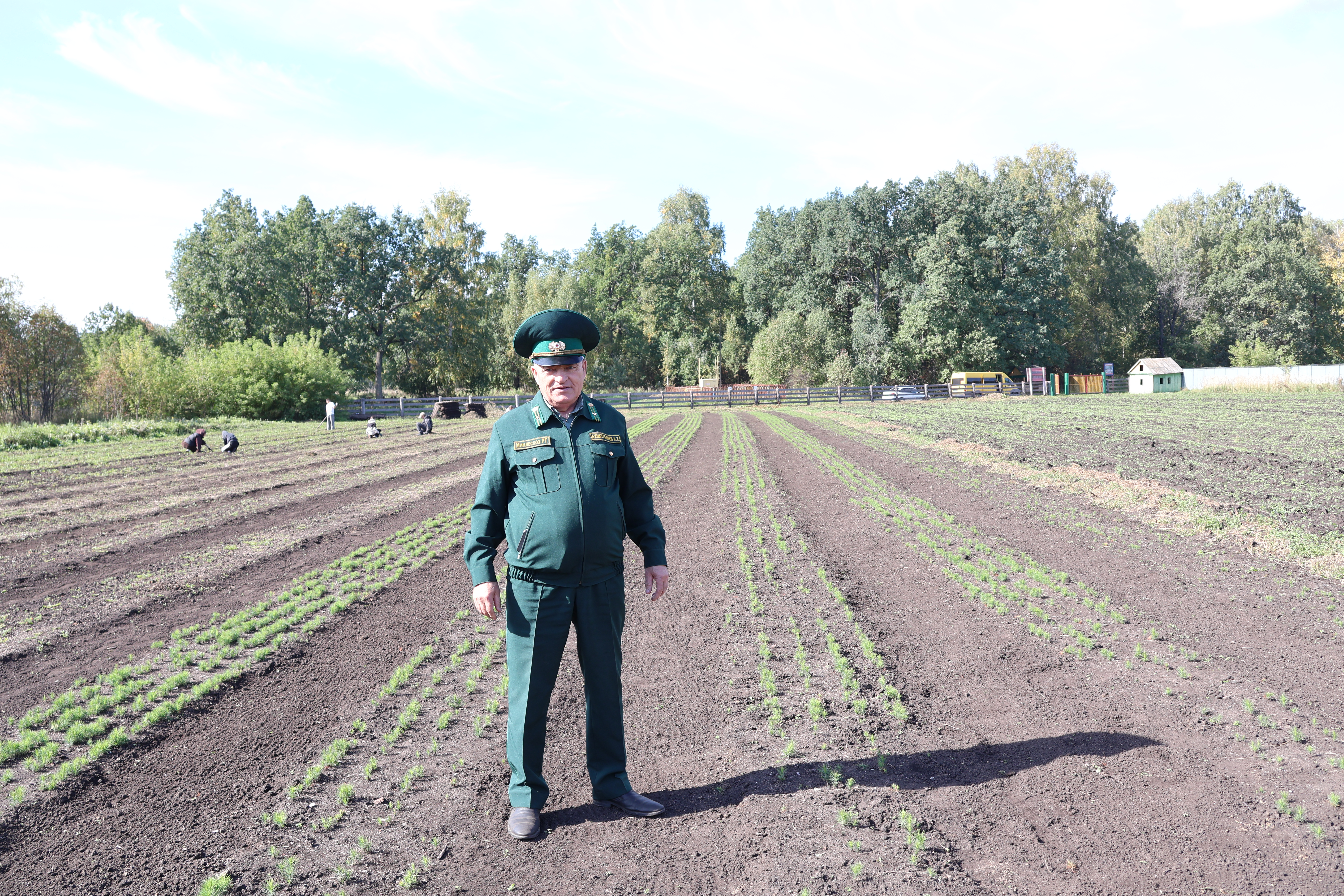 Урманчылар көне