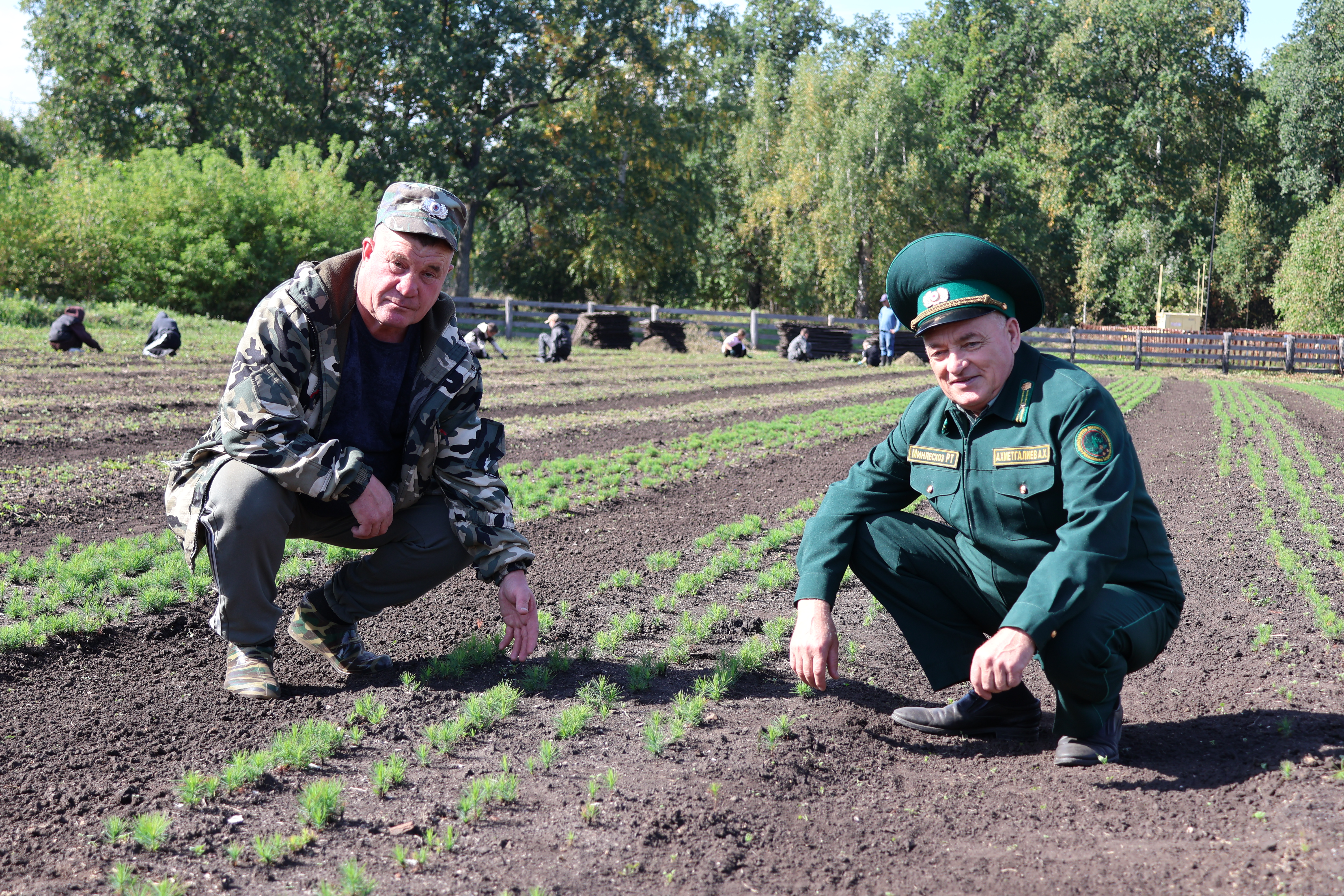 Урманчылар көне
