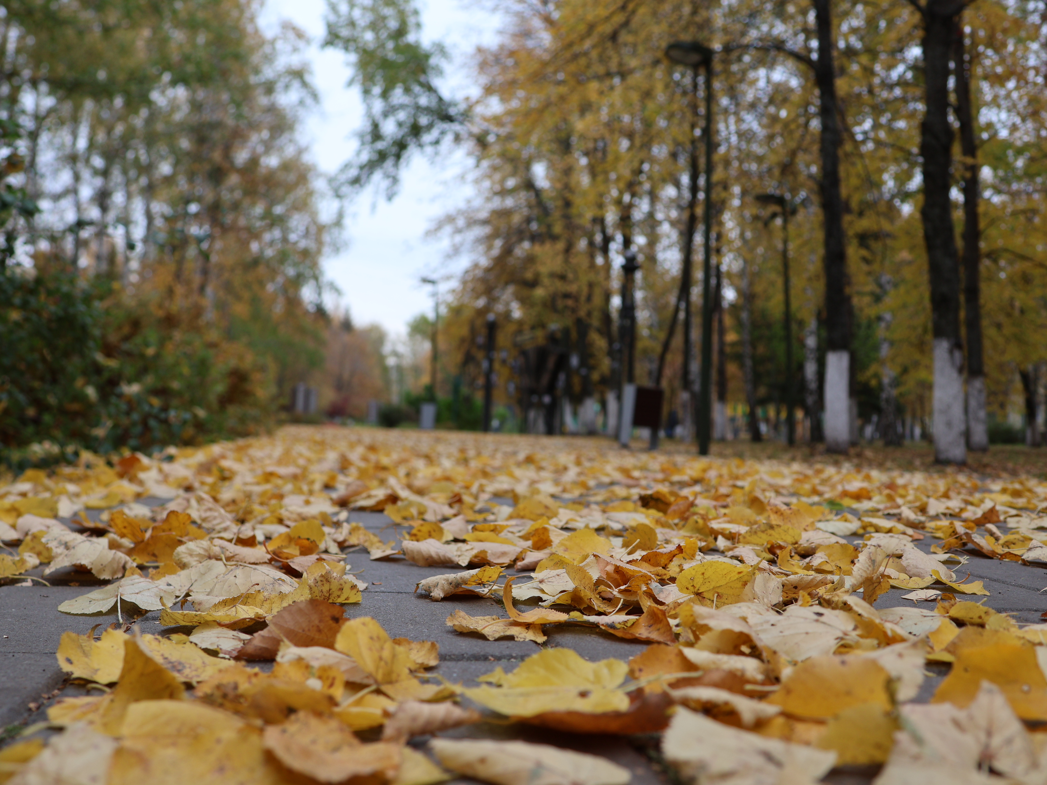 23 сентябрь: көзнең үзенчәлекле көне