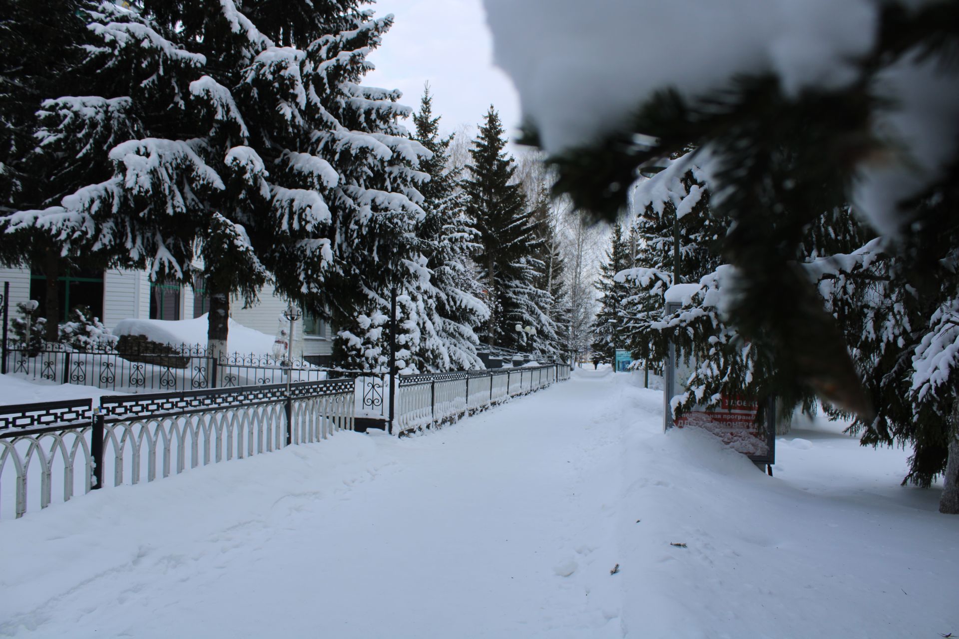 Безнең фотоларда - кышкы мизгелләр