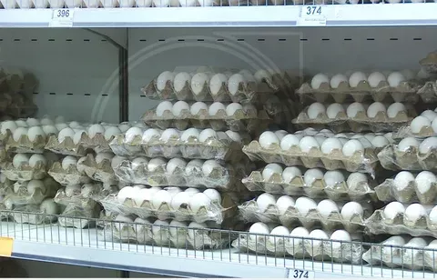 Сак булыгыз: Районда патогенлы кош гриппы табылган компания продукциясен сатудан алдылар