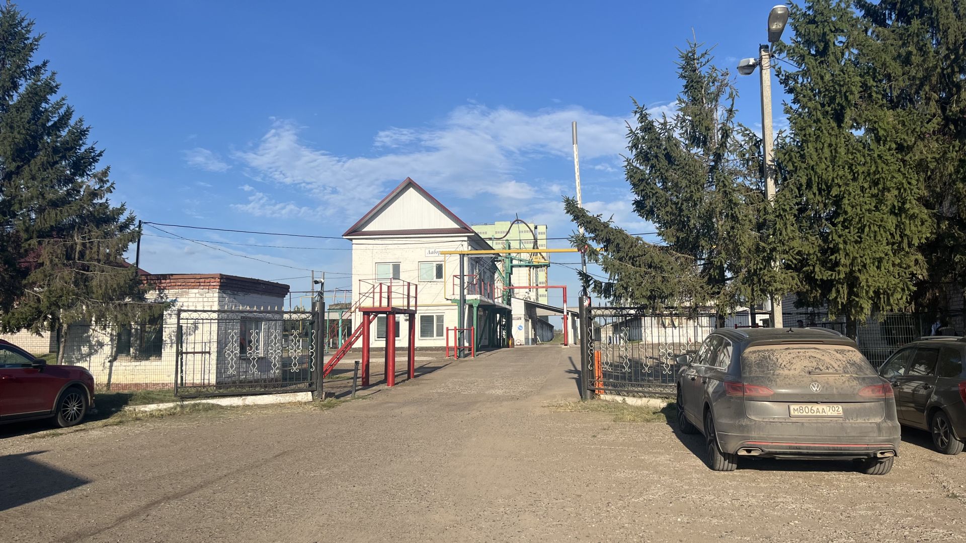 Алтын бөртекләр сакланган җирдә