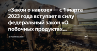 С 1 марта 2023 года в РФ вступает в силу новый закон о побочных продуктах животноводства