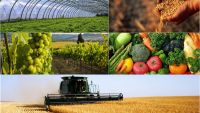 Минсельхозпрод РТ объявляет отбор на грант на развитие материально-технической базы начинающих сельскохозяйственных потребительских кооперативов