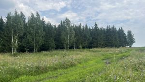 Бүген бездә Украина БПЛАсын бәреп төшергәннәр