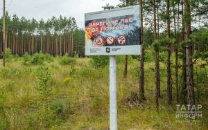 Татарстан Республикасы Урман хуҗалыгы министрлыгы урманнарда янгын куркынычы классының артуы турында хәбәр итте