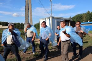 Актаныш тәҗрибәсе: Авыл хуҗалыгында ясалма интеллект