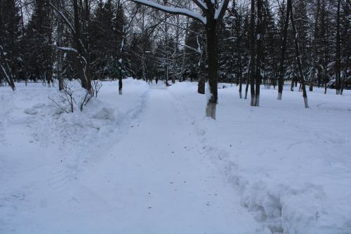 Безнең фотоларда - кышкы мизгелләр