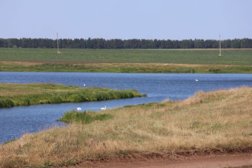 Басуларда хезмәт шавы: Эшләр тулы куәт белән бара