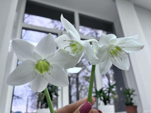Спорт белән шөгыльләнү өчен яхшы вакыт: 14 - 21 февральгә йолдызнамә