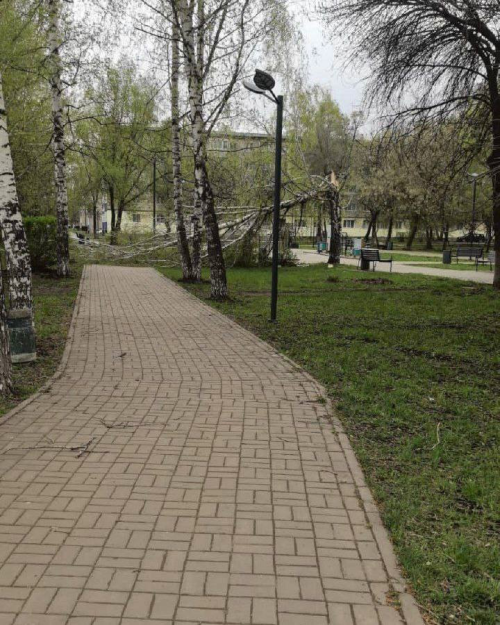 Көчле җилдә сынган агач өстенә төшеп олы ир кеше вафат булган