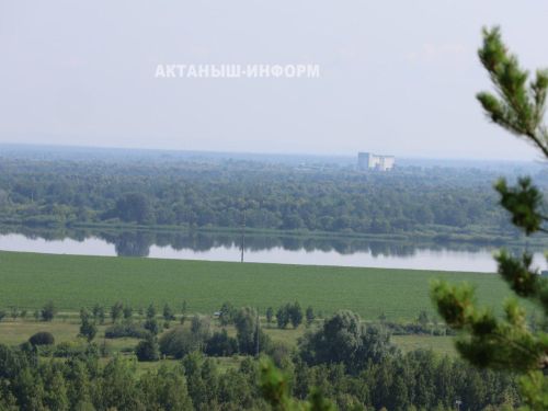Акыл белән йөрәк арасында күпер салыгыз: 09 – 16 июльгә йолдызнамә