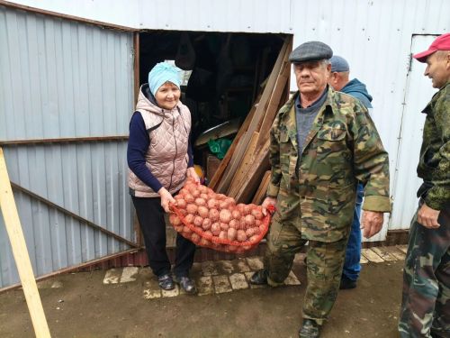Игелекле гамәлгә җиде ел