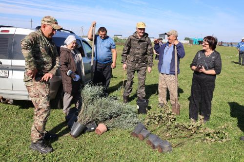 Агыйдел буенда буыннарны бәйләгән «Дан аллеясы»на нигез салдылар