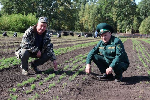 Урманны утырту гына түгел, аны үстерү дә мөһим