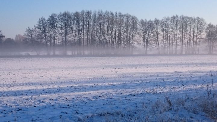 Синоптиклар иртәгә томан, көчле җил булачагын кисәтә