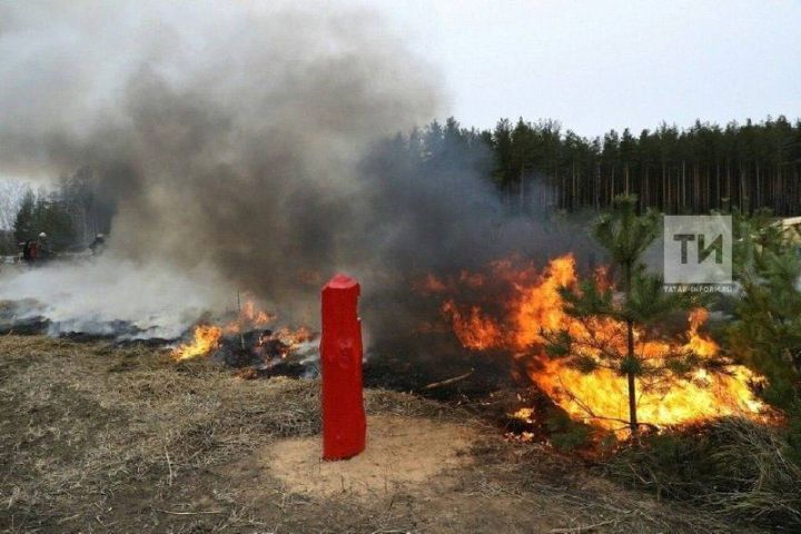 Татарстанда 22 апрельдән янгынга каршы махсус режим кертелә