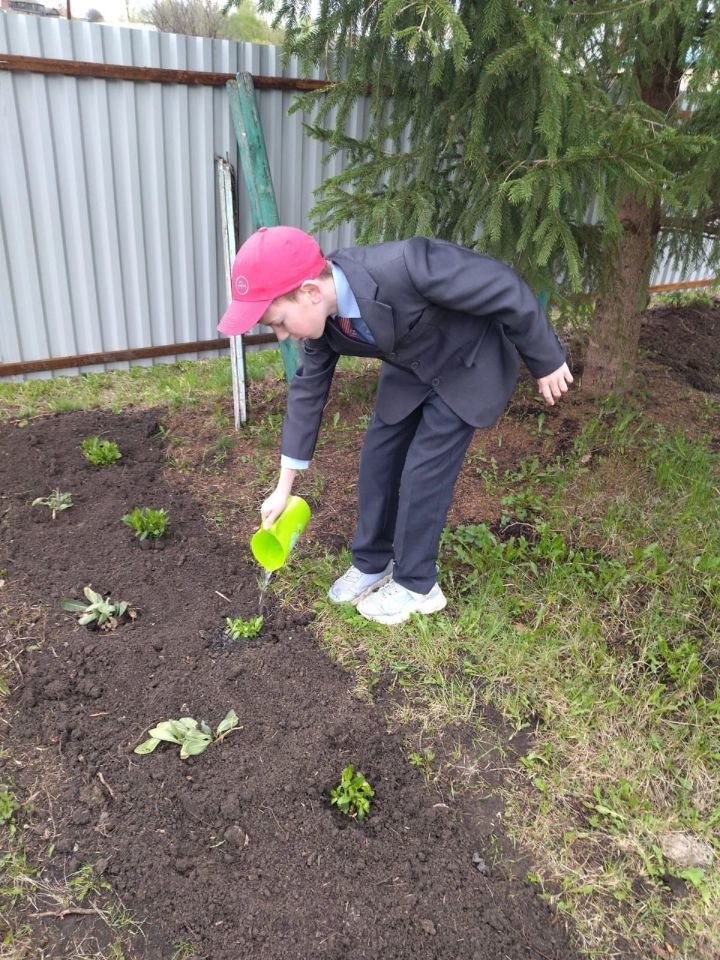 Бәйрәм алдыннан Кыркаентүбә, Иске Балтач, Яңа Балтач халкы Бөек Җиңү обелисклары бакчасын чистартты