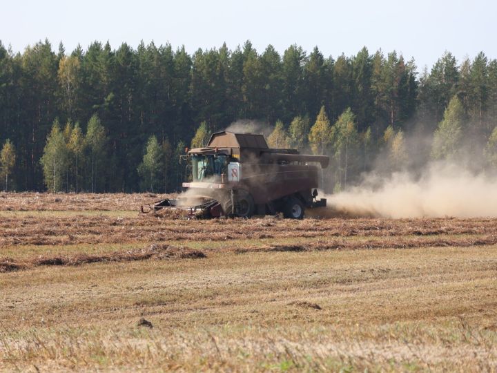 Актаныш район мәдәният йортының агитбригада труппасы «Алмазагротрейд» уңганнарын ял иттерде