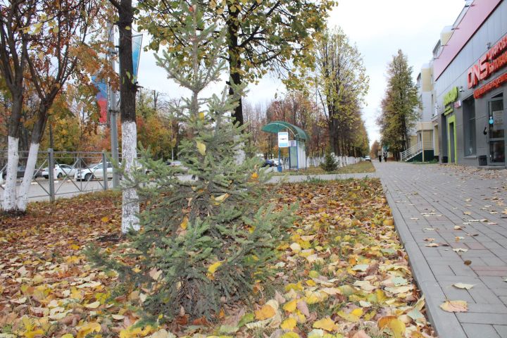 Татарстанда әбиләр чуагы октябрь башына кадәр дәвам итәчәк.