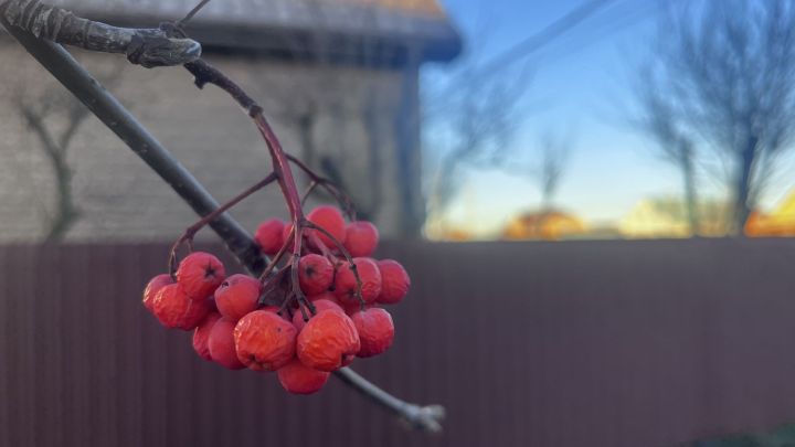 Көн режимыгызны үзгәртегез: 14-20 ноябрьгә йолдызнамә