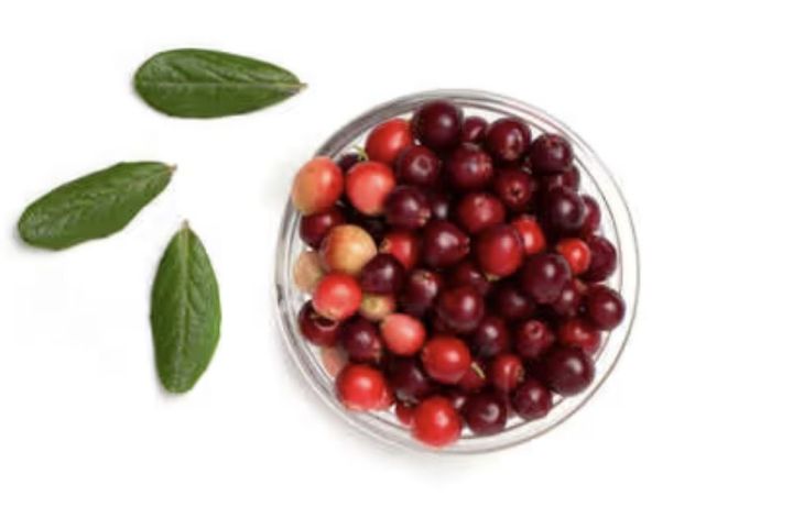 Йөз чирдән файдалы