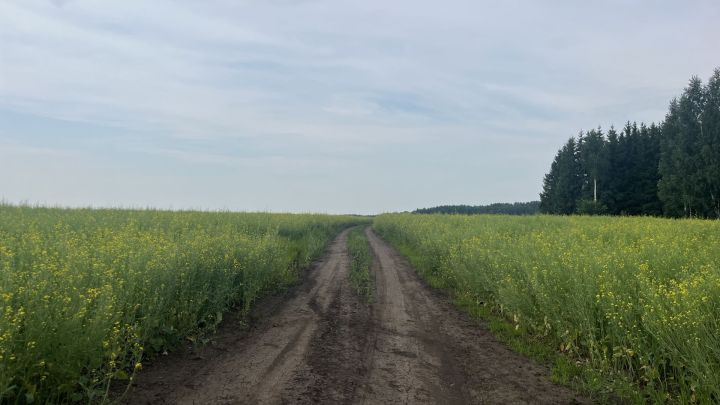 Татарстанның бер районында пилотсыз очкычлар бәреп төшерелгән